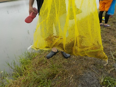 写真:たくさんとれたよ