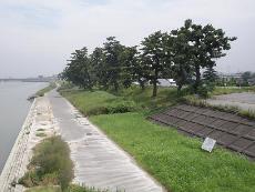 松蔭公園の写真