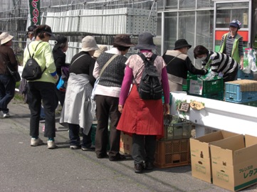 写真:水耕栽培野菜即売所
