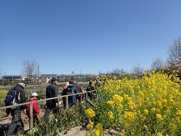 写真:花壇の花を見ながら歩く参加者