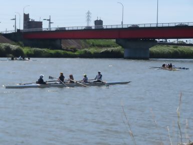 写真:ボートで大当郎橋へ漕ぐ様子