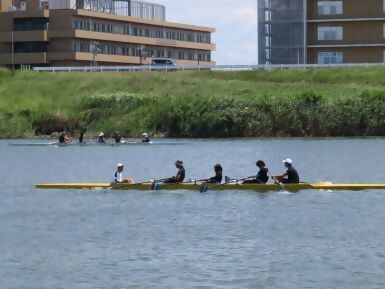 写真:ボートですいすい漕ぐ様子