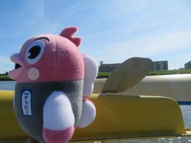 ボートの舵とナッピーのひれ