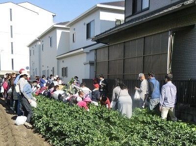 写真:収穫の様子