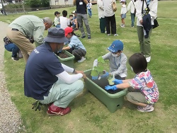 苗植体験の写真1