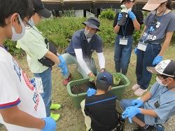 苗植体験の写真2