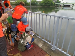 水中ドローンの写真