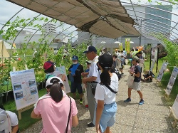 ワークショップの写真3