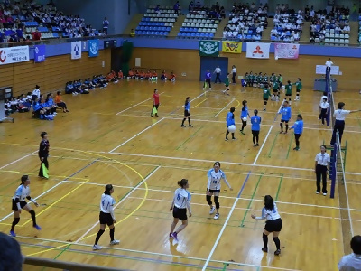 写真:レクリエーションバレーボール