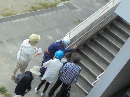 指定緊急避難場所避難訓練の写真