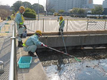 写真:運河清掃の様子 令和7年3月21日