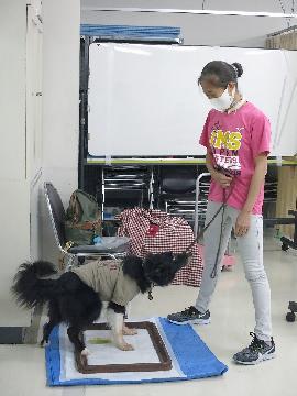 写真：6月28日港保健センター