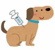 イラスト：狂犬病予防注射