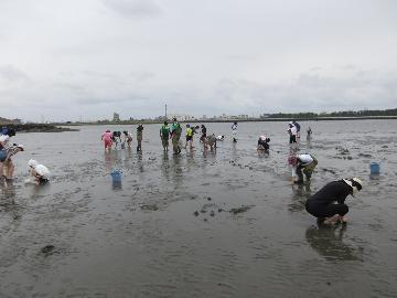 写真：観察の様子