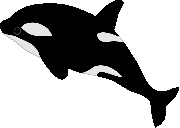 当選したシャチのイラスト