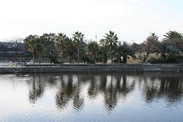 写真：荒子川フェニックスアイランド