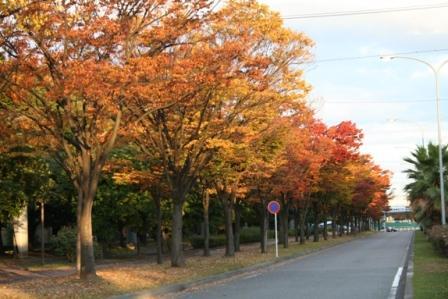 写真：稲永公園の秋