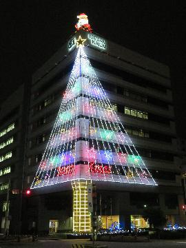 写真：江川線沿いのイルミネーション