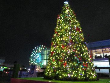 写真：ジェティ広場前クリスマスツリー