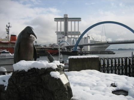 写真：世界最大と最小のペンギン
