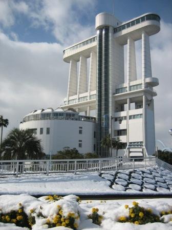 写真：名古屋港ポートビル