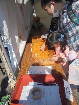 写真:模擬投票の様子 第28回 平成29年(2017年)