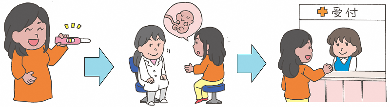 イラスト：赤ちゃんができたか確かめる様子