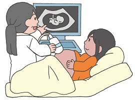 イラスト：妊婦健康診査（妊婦健診）