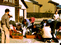 ポットからプランターへ植え替えの写真