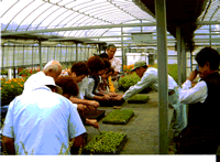 ポット上げの指導を受けている写真