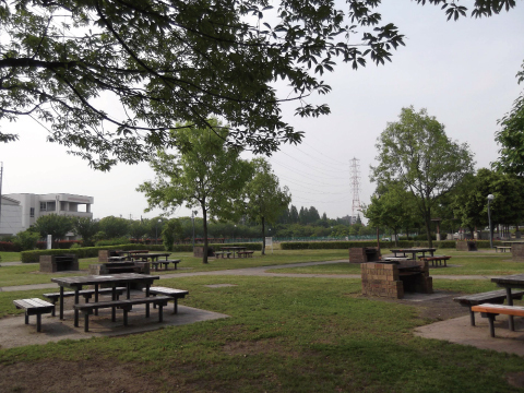 写真：ピクニック広場