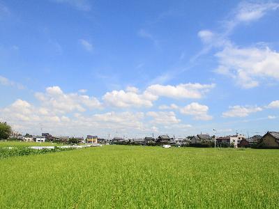写真:南陽の田園風景