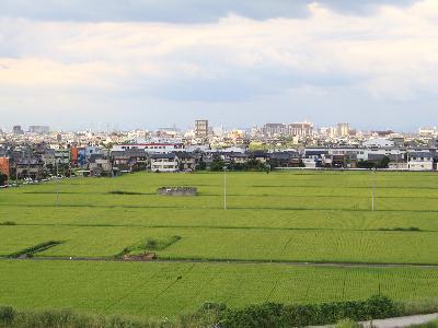 写真:福田川河口排水機場から見た田園風景