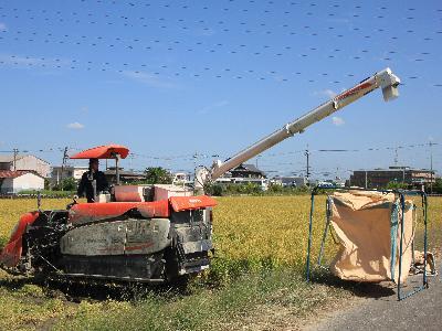 写真:コンバインによる稲刈り2