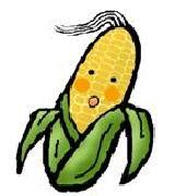 スイートコーンのイラスト