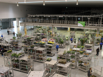 写真：セリ場の裏側には、広大なバックヤードが広がります。