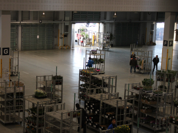 写真：セリで売れた花きが、まちのお花屋さんへと旅立っていきます。