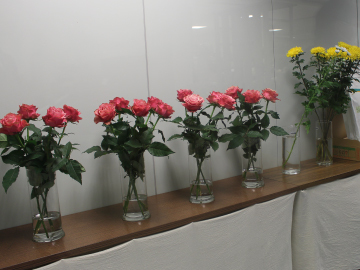 写真：同一条件で試験できるよう、温度・湿度・照明が一定に保たれています。