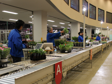 写真：8人のセリ人による活気あるセリの様子