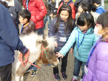 写真：ミニチュアホースと触れ合う子どもたち