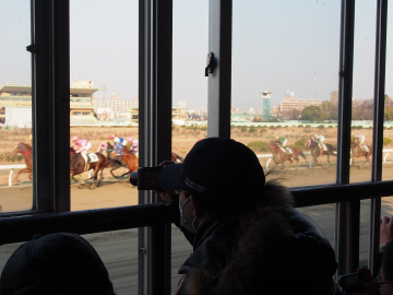 写真：厩務員控室からレースを観戦する