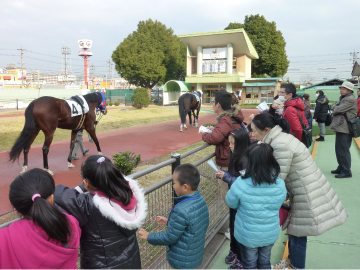 写真：パドックを歩く出走馬を見つめる参加者
