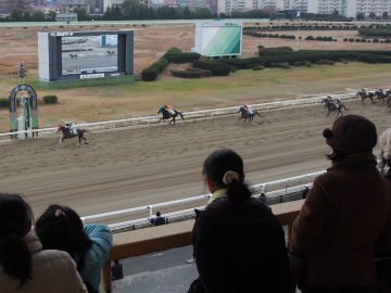 写真：参加者の目の前を出走場が駆け抜けます