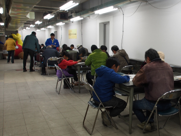 写真：奥に馬影を発見！