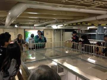 写真：エンジンルームの様子