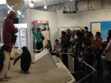 写真：展示されているジオラマの様子