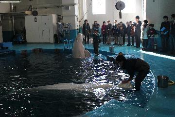 写真：トレーニングの様子