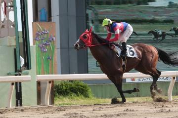 写真:騎乗中の木之前葵騎手