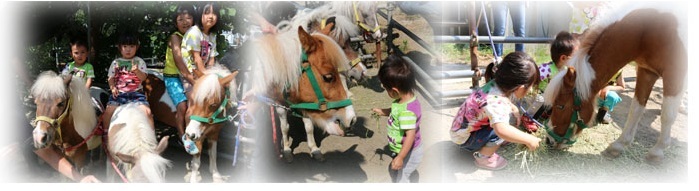 写真:サンクスホースデイズ