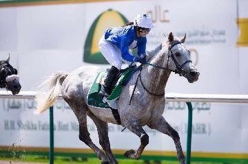 木之前葵騎手 レース中の写真